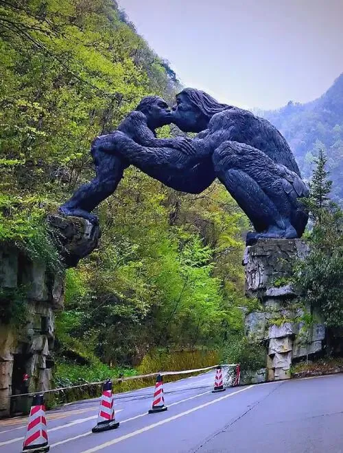 神农架把全国景区的饭碗砸了