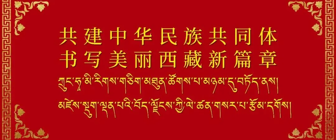 关于定日县珠峰景区西大门建设及配套设施项目前期服务单位比选的公告