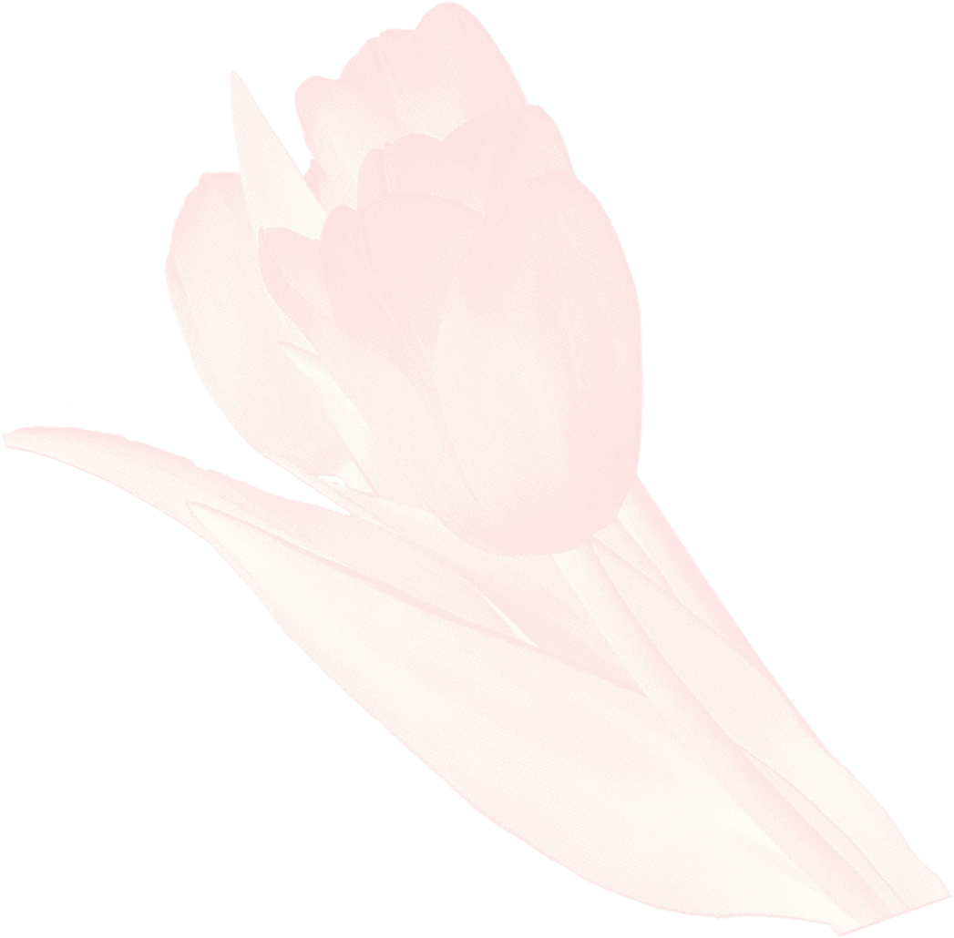 【女神节专享福利】景区套票限时抢,错过等一年!