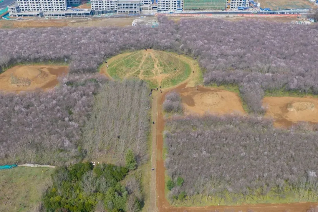 陕西被人遗忘的景区:门票0元看千年神道,藏着“天下第一藩”的功过一生