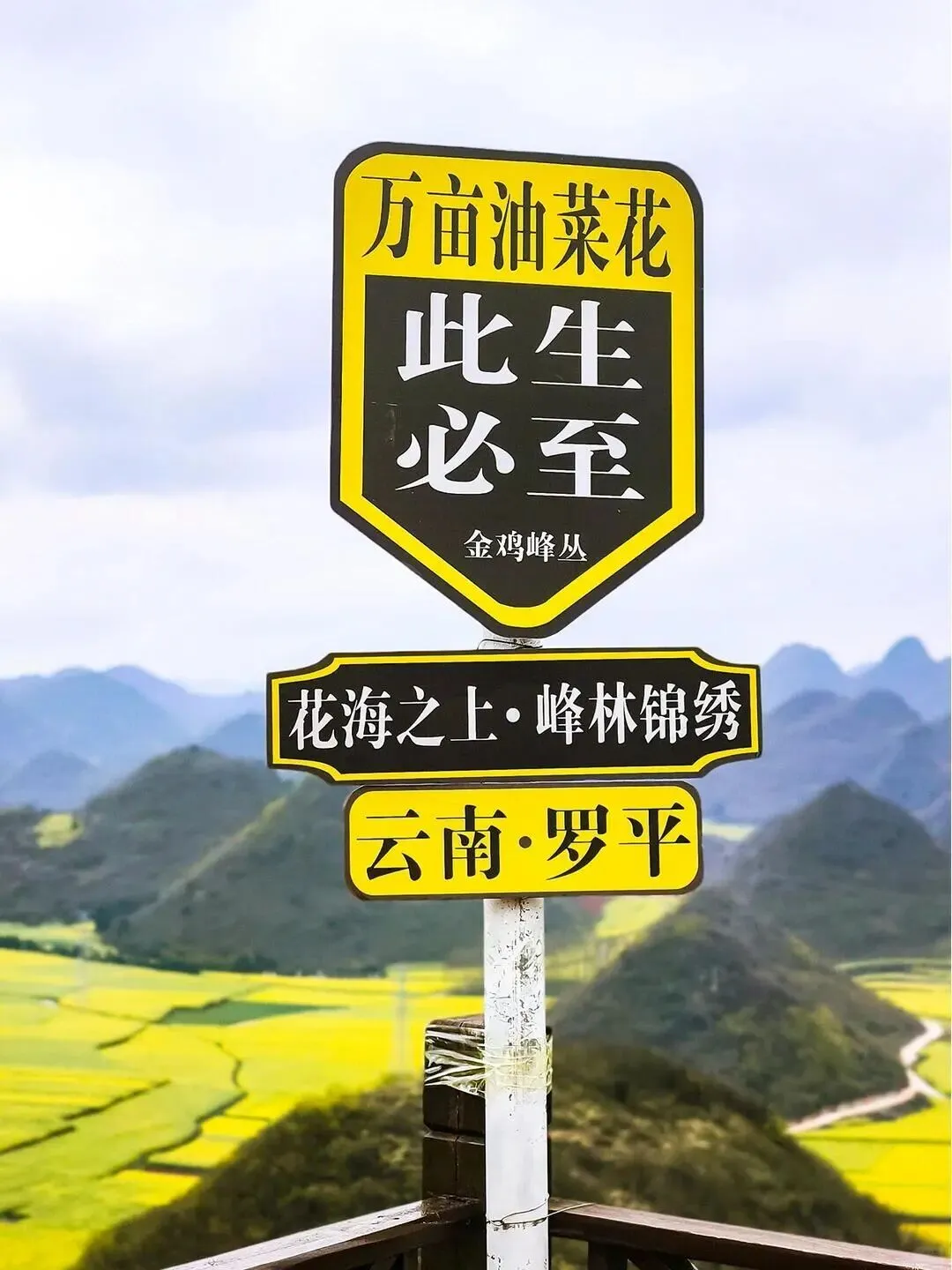 全国油菜花旅游攻略
