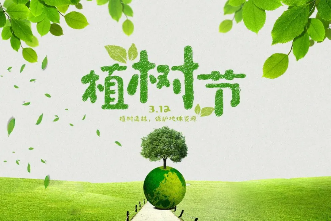三月正当时,一起趣植树,拾趣杨安景区植树节活动来啦~