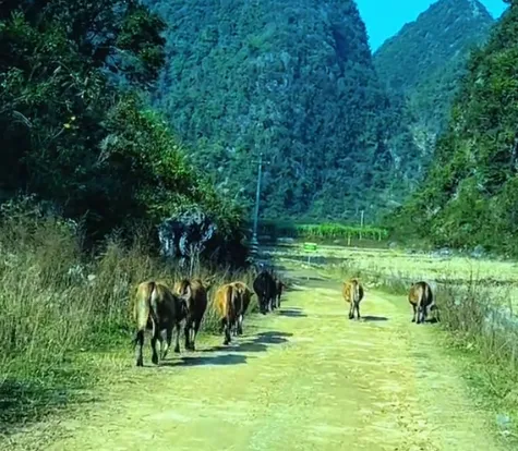 广西旅游攻略景点系列之【陇卡赖】