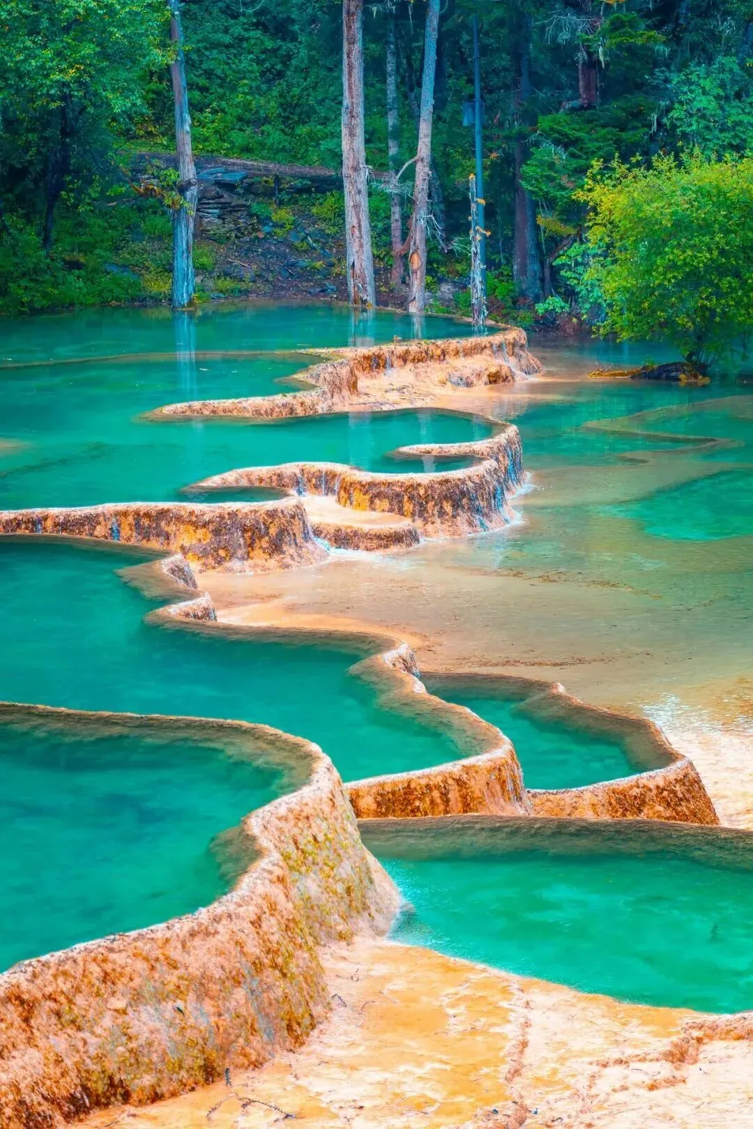 全国3月免票景点清单!范围覆盖20个省市地区!限时免门票,赏花、邂逅国宝熊猫、水竹筏漂流…