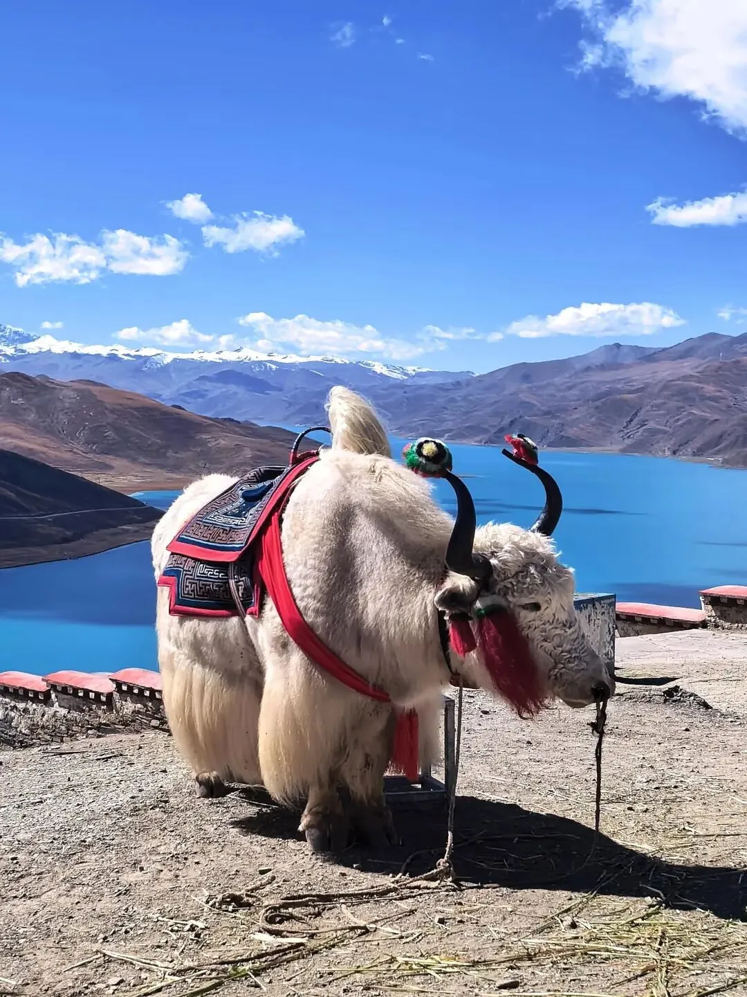 100个国内小众高人气 景点 (十六)西藏羊卓雍措环湖攻略:全网最真实避坑指南