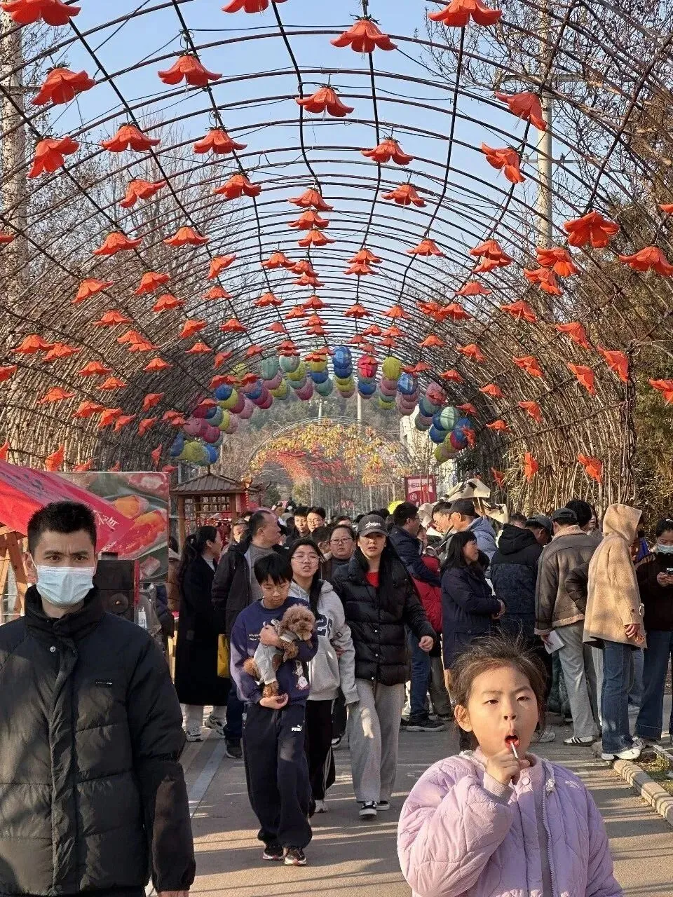 年味满 春意浓 | 禾泉小镇景区2026春节活动圆满收官!