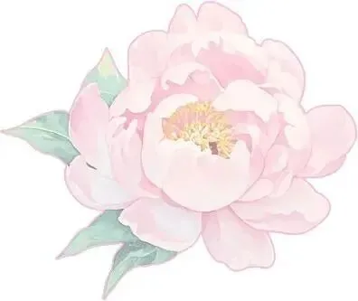 “三八节”专享,景区春日福利来啦!