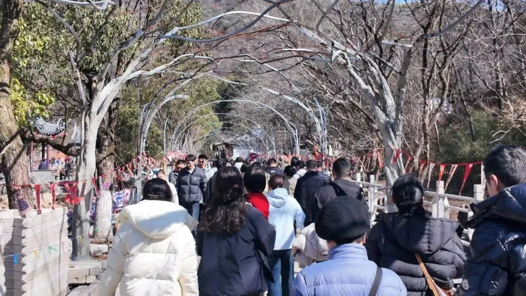 官宣了!三月,这些景区免门票
