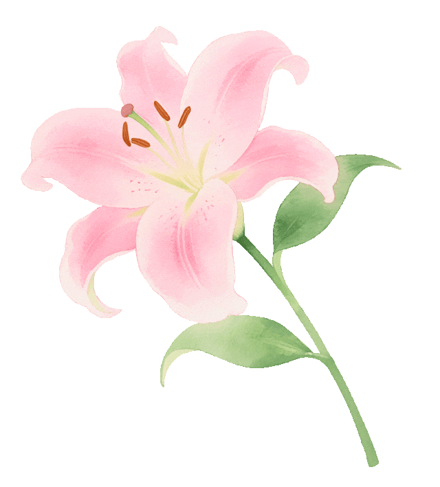 “她”的节日!来湖里!景区福利多、还有免费奶茶