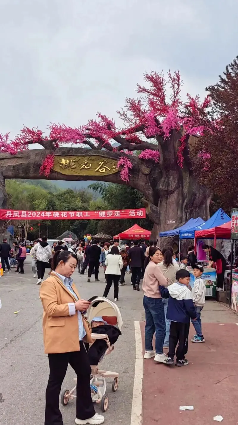 丹凤县桃花谷景区被确定为国家4A级旅游景区