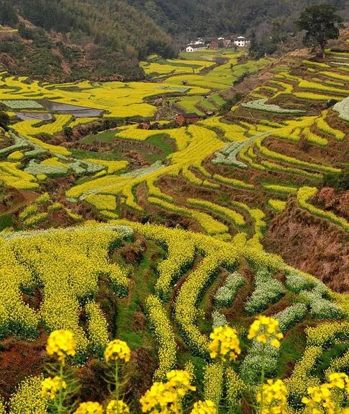 3月旅行新体验,4大景点让你乐不思蜀!
