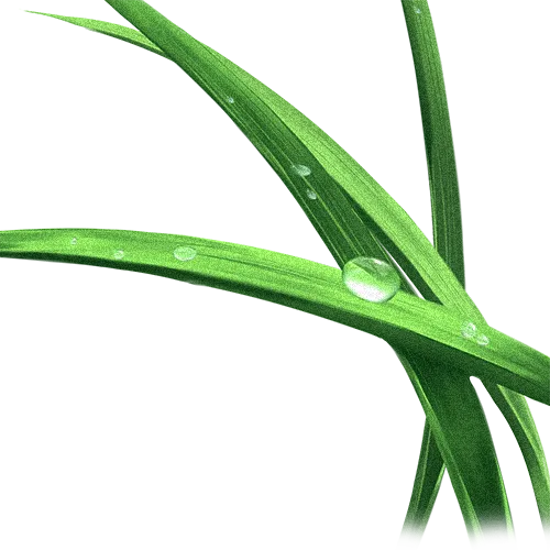 天台山景区丨春雷惊蛰始 大地万物新