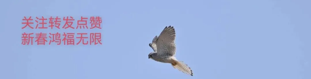 龙麟宫景区侗族风情寨金丝楠木屋