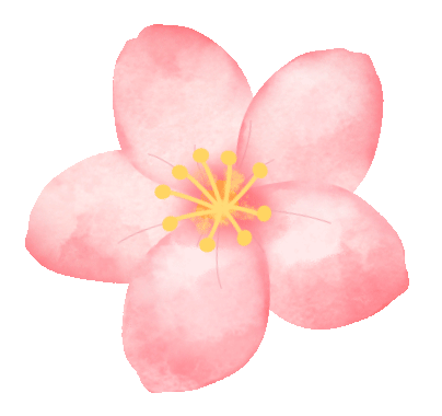 妇女节春游福利 | 多景区宣布女性门票免费,同行人员也可享超低折扣!