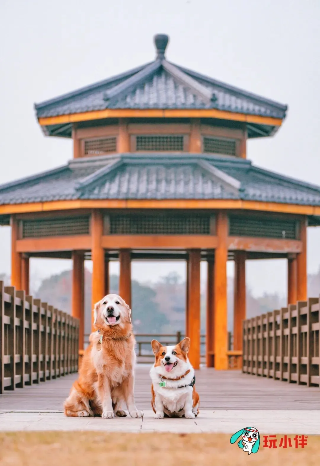 3月限时特价 周末599 门口即达尚湖景区 一路绿荫园林 常熟花间府