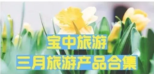 【宝中旅游】三月产品合集
