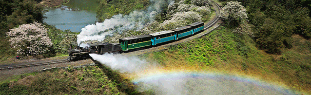 一路繁花等你来!嘉阳·桫椤湖景区“女王节”打卡指南!(内有福利)