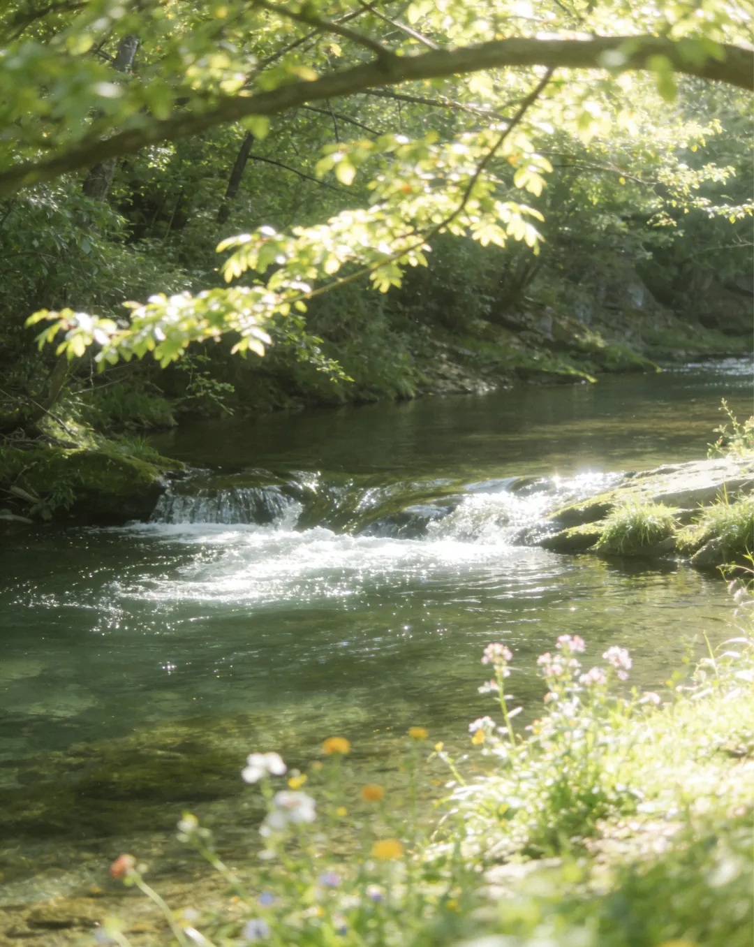 春日短途旅行|小众治愈景点,人少景美超舒服