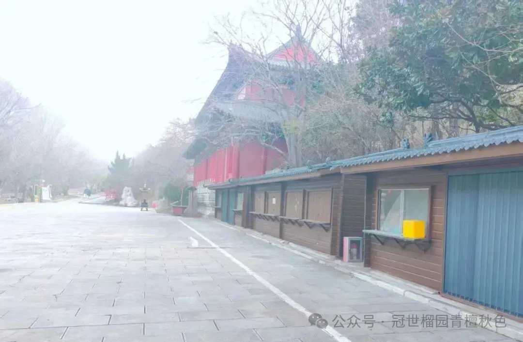 青檀景区2026年核心商业旺铺(二期)公开招租公告