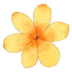 【把生活搬到贵州】当贵州决定不只做“旅游大省”