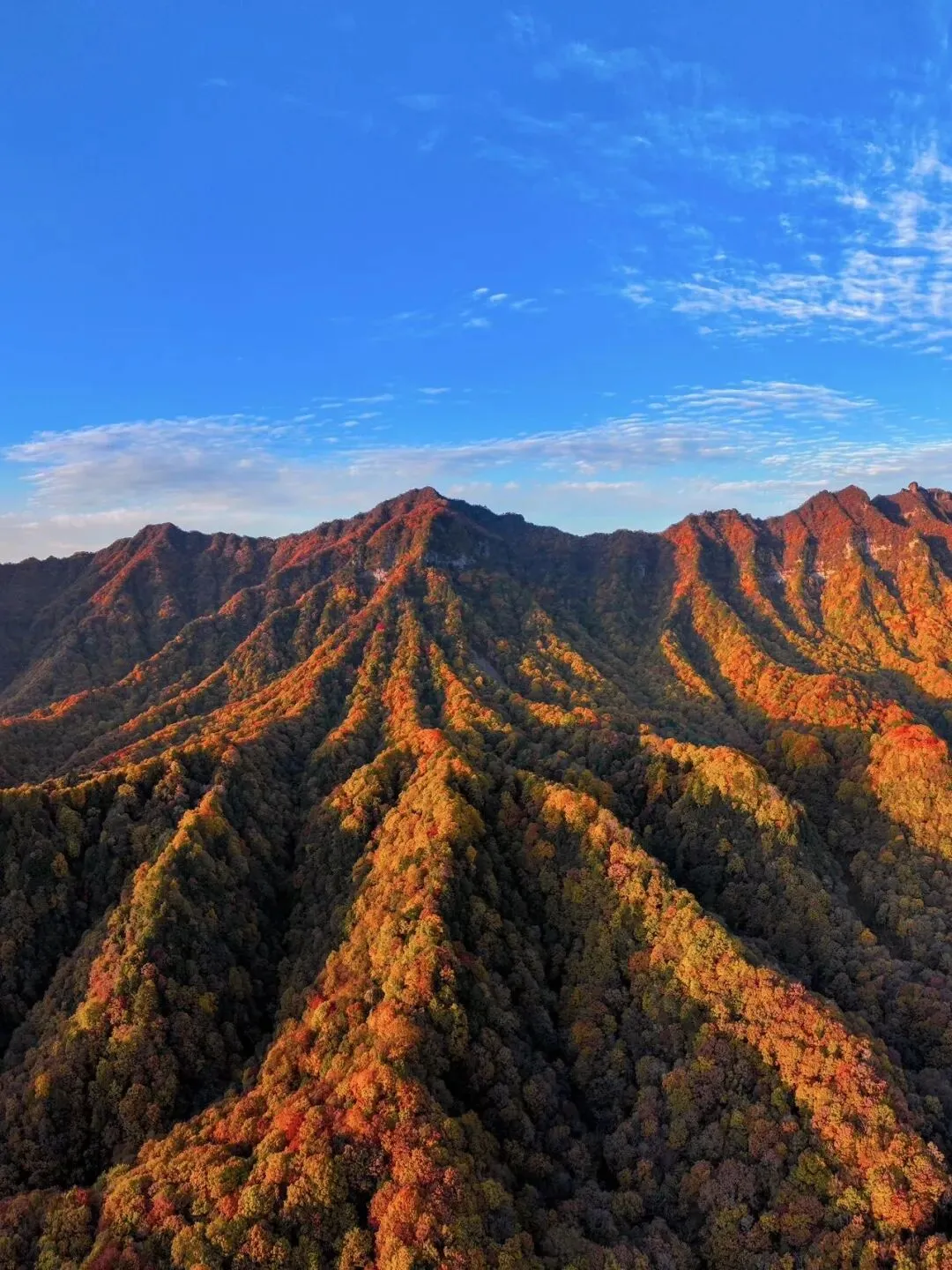 三八妇女节,哪些景点风景好又免门票?看过来…