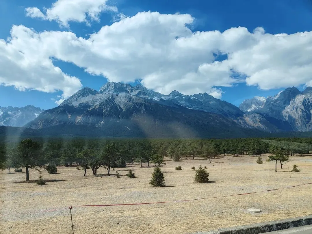 那个说“等退休带你去旅游”的人,后来兑现了吗?
