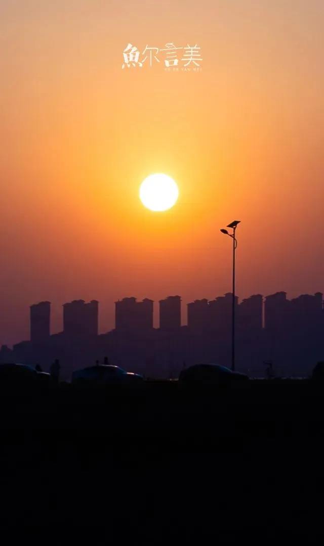 从西到东,芜湖这条轻轨旅游线,处处藏着惊喜!免费公园一个接一个,根本看不过来!