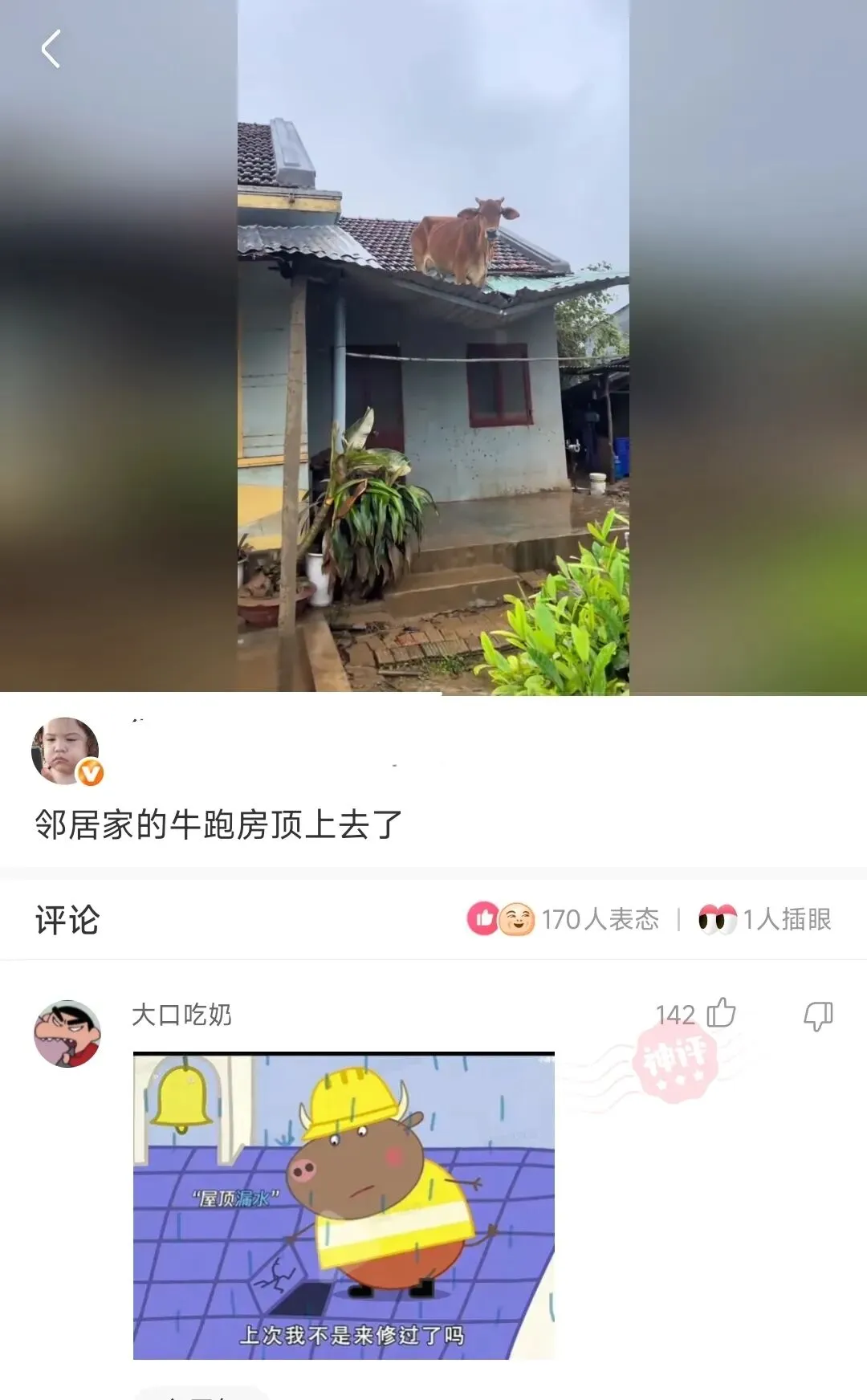 神回复:衣服和服装道具是景区的,酷茶籽可是自己的