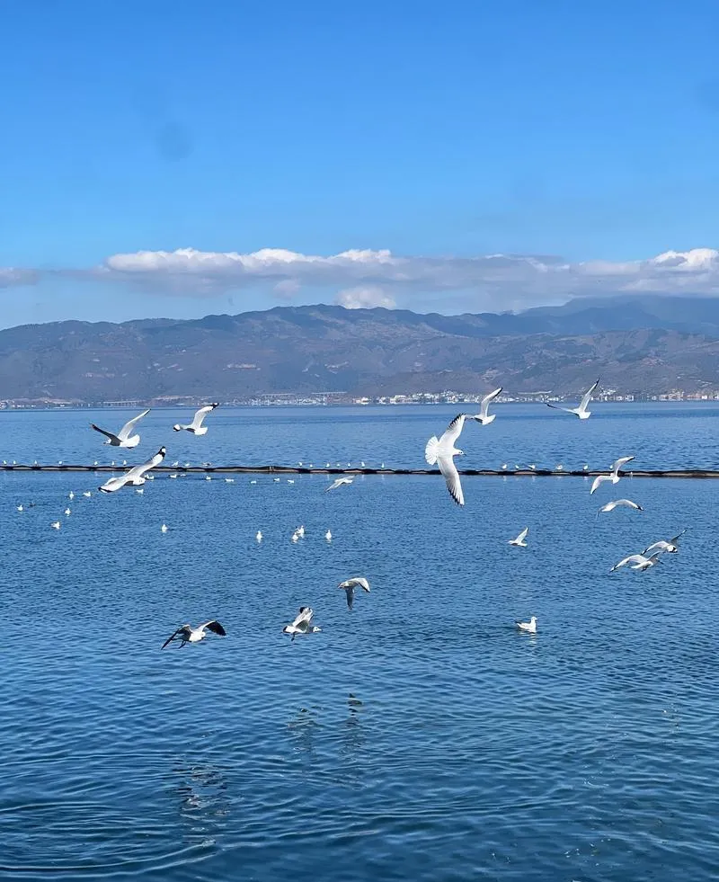 大理市必去十大旅游景点,大理好玩的地方全在这里!