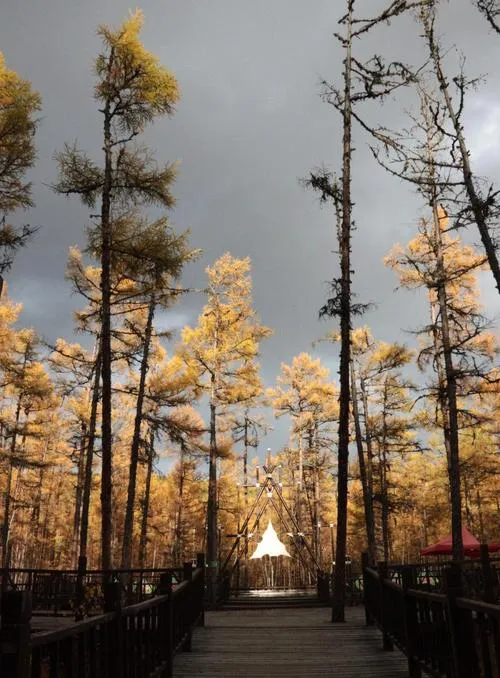 额尔古纳必去十大旅游景点,呼伦贝尔好玩的地方全在这里!
