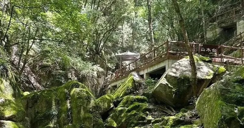 3月15日起,旅游投诉新规实施!别再吃哑巴亏了