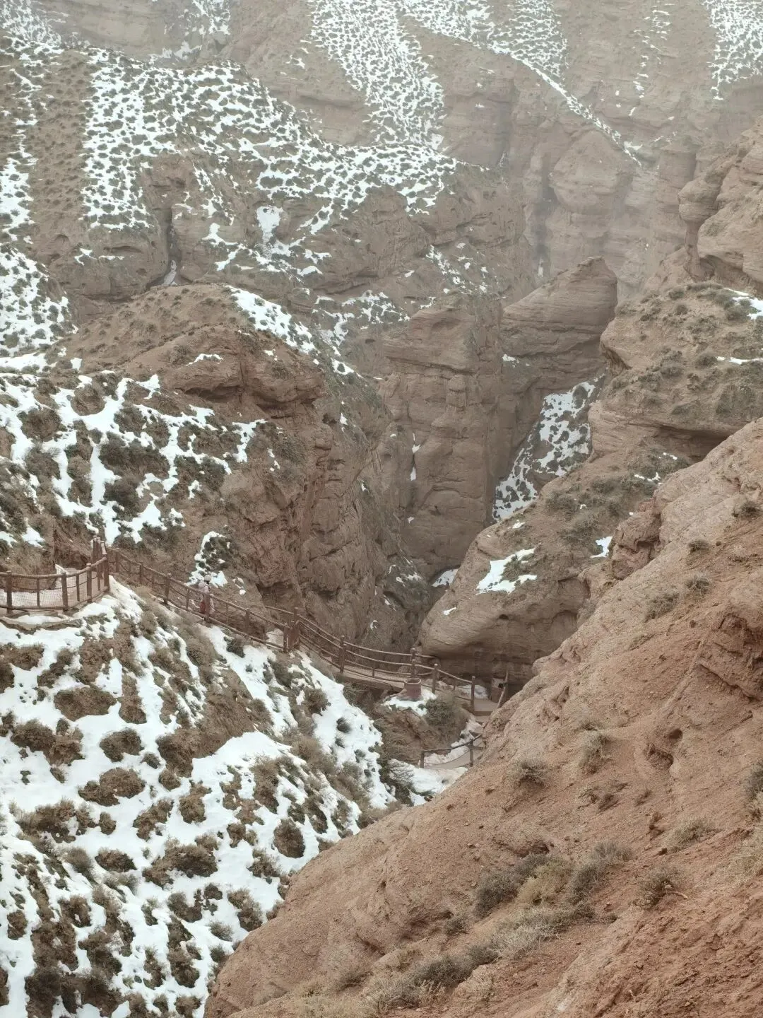 青甘大环线旅游已回,我真的崩溃了!!!