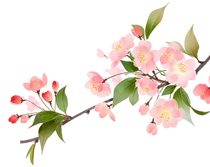 女神专属福利!渭南景区免票半价,赴一场春日之约