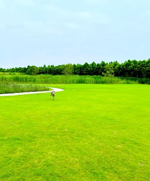 崇明必去十大旅游景点,上海好玩的地方全在这里!