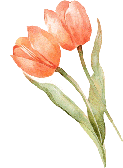 3月8日,这些景区女性游客免门票!