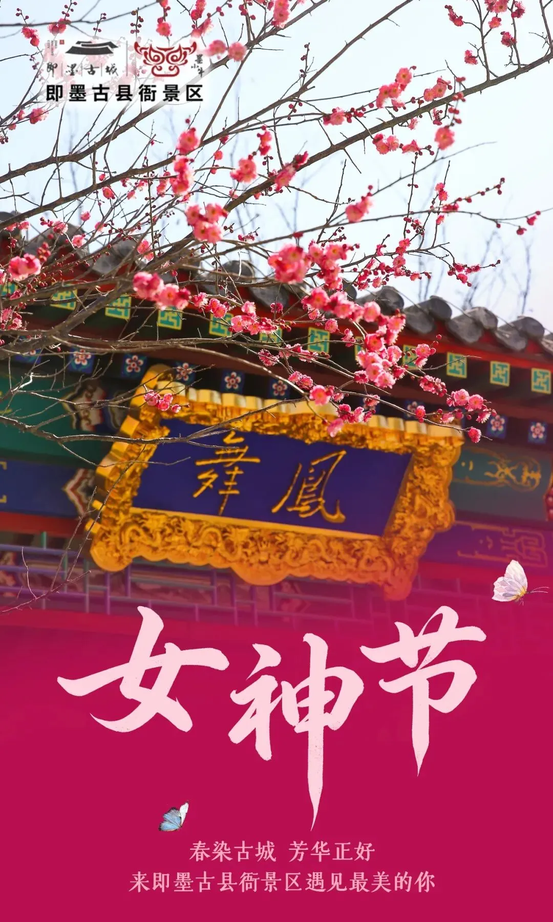 三月芳华,女神节游即墨古县衙景区,解锁春日浪漫~