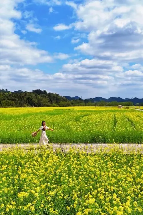 中国几乎“零差评”的6座旅游城市,不宰游客,3月春暖花开时去最惊艳!
