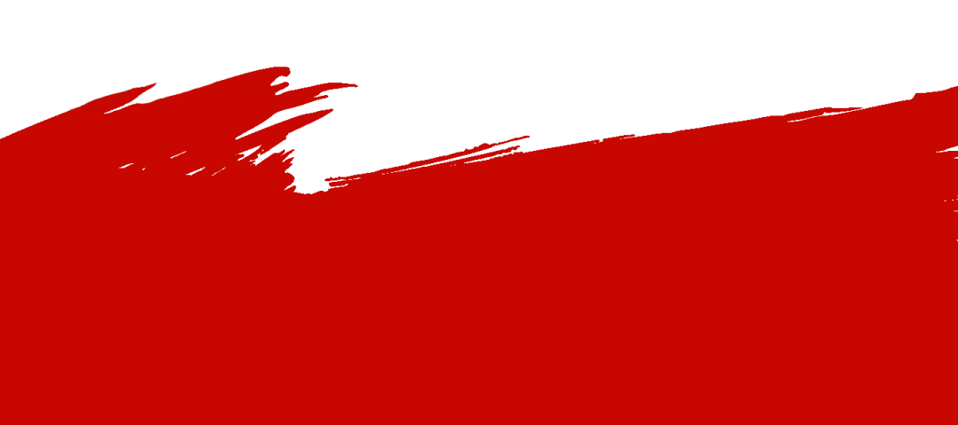 市执法支队开展学雷锋景区清洁 党员志愿服务活动