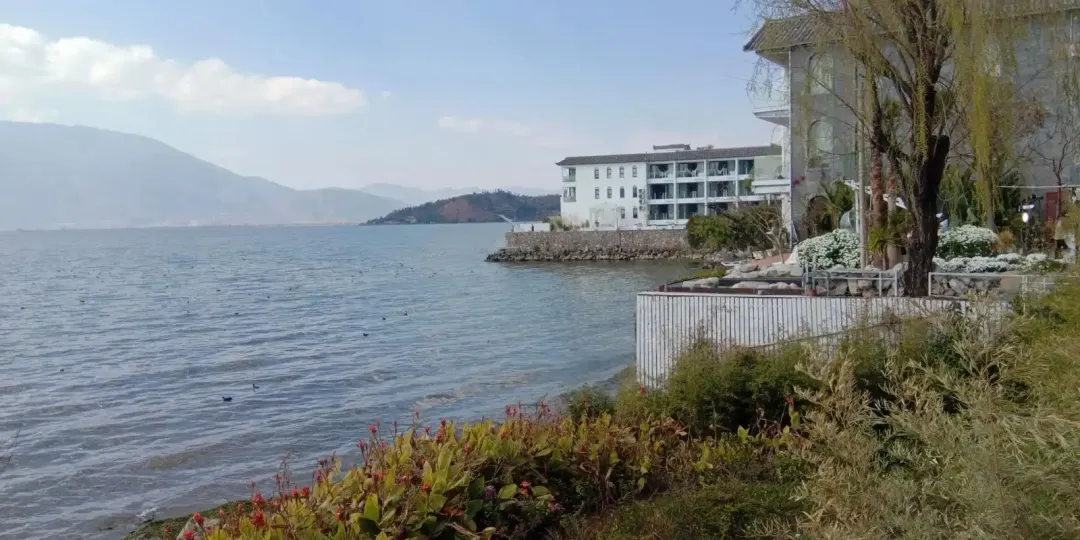 大批韩国人“霸占”大理街头,打着旅游的幌子,不拜崇圣寺不看苍山雪,到底被啥迷住了?