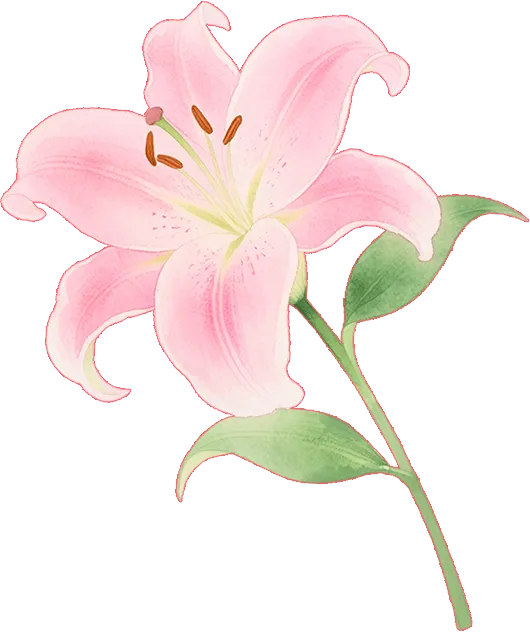 不容错过!近期伏波山、叠彩山景区这些美景正在竞相绽放