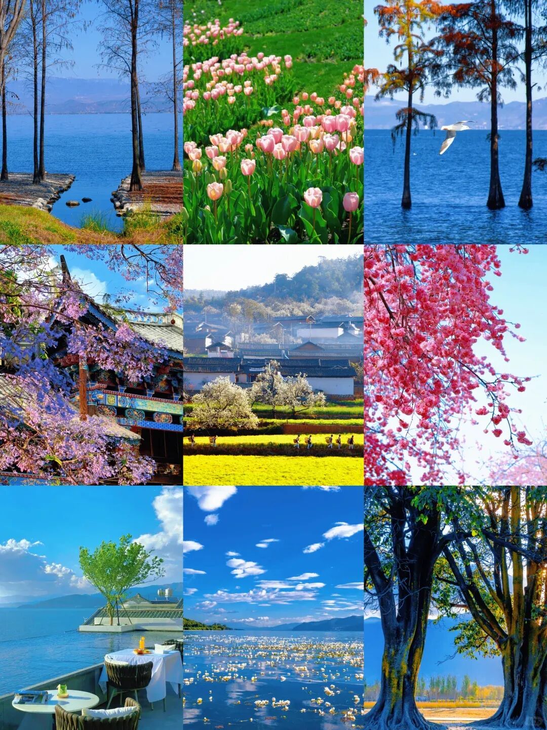 3-5月云南亲子旅游攻略,超全懒人路线可照搬!