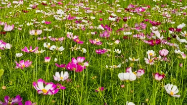 景区免费!国内反差最强的富豪城市,节奏慢、物价低,沙漠草原全都有,太适合养老度假