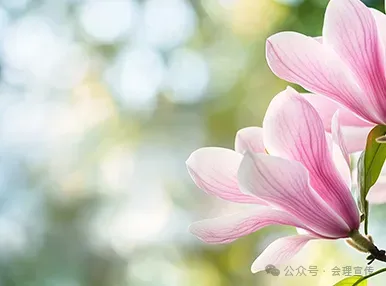 3月8日,凉山7个旅游景区对女性游客免门票!会理有两个景区→