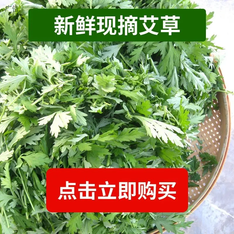 春节假期兴宁接待游客65.4万人次,旅游收入6.4亿元