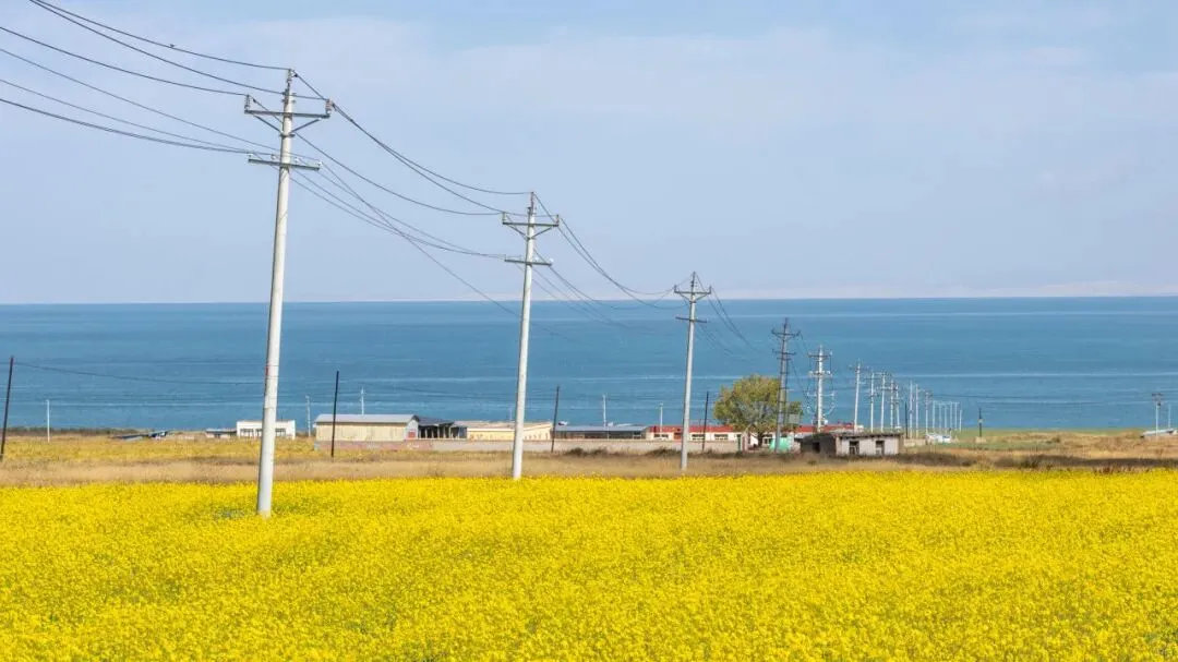 青甘大环线旅游摄影记