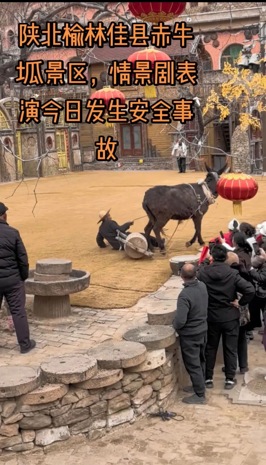 陕西佳县赤牛坬景区表演突发意外 毛驴受惊跑下舞台 游客安全需警惕