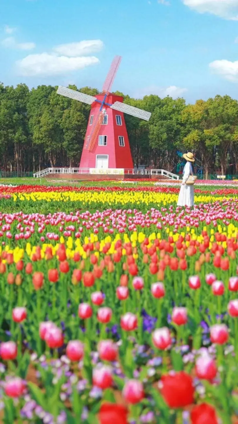 好消息!东西湖一3A景区正式开园迎客