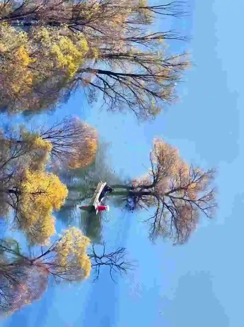 60岁前,一定要去的中国这3个5A景区,去过1个便觉这一趟真的值