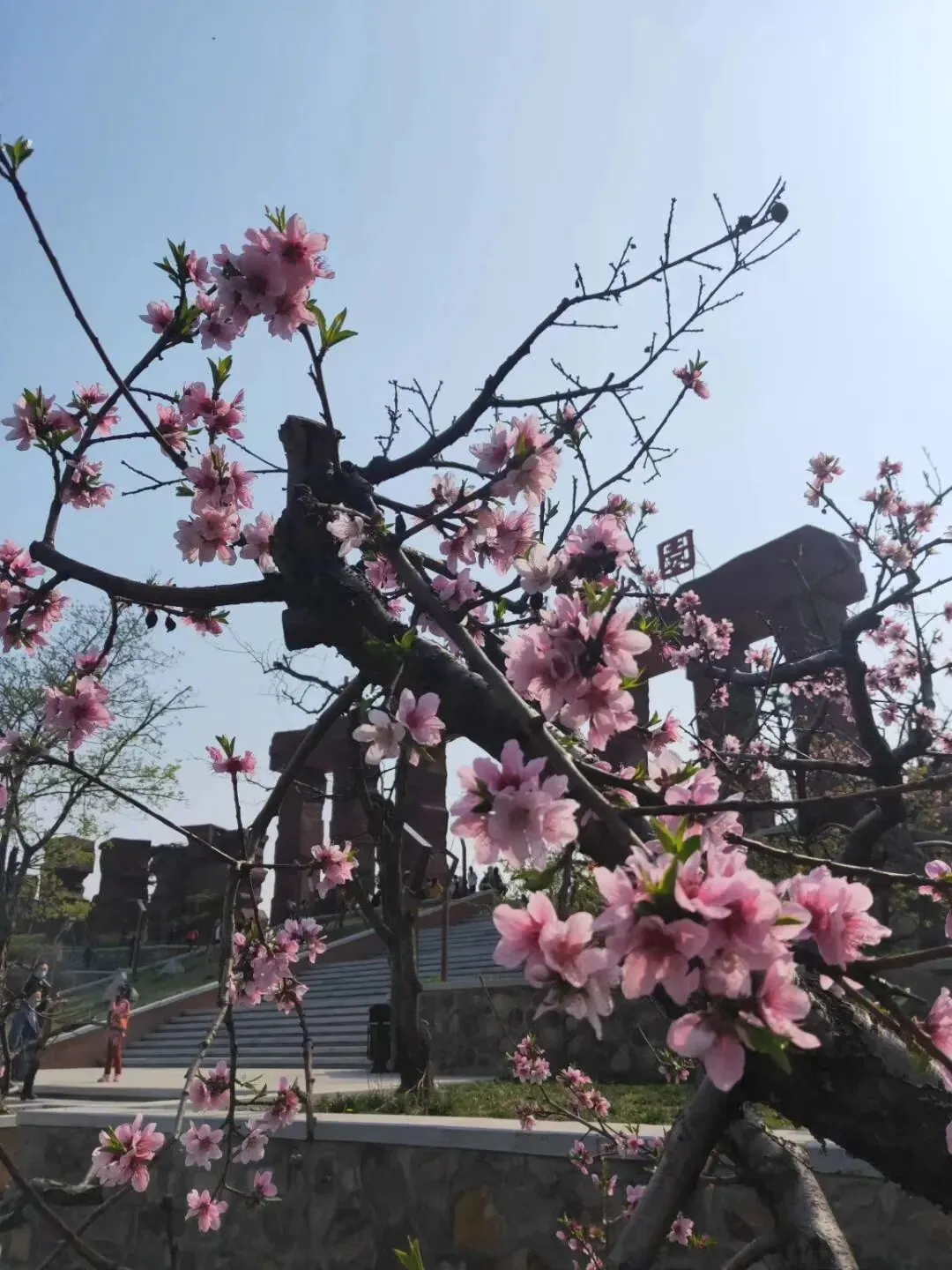 妇女节河南免费景点!!!