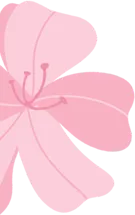 “三八节”就去博罗这些景区,对女士免票